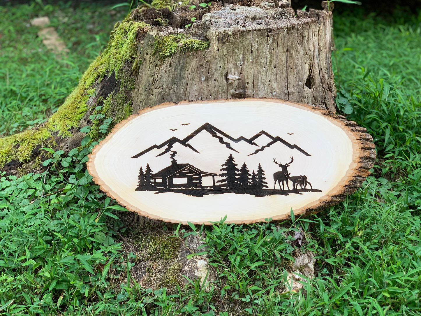 Basswood Live-edge Cabin+Deer Scene